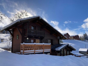 Chalet rénové 2-4 pers, terrasses, vue Mont Charvin - FR-1-505-187